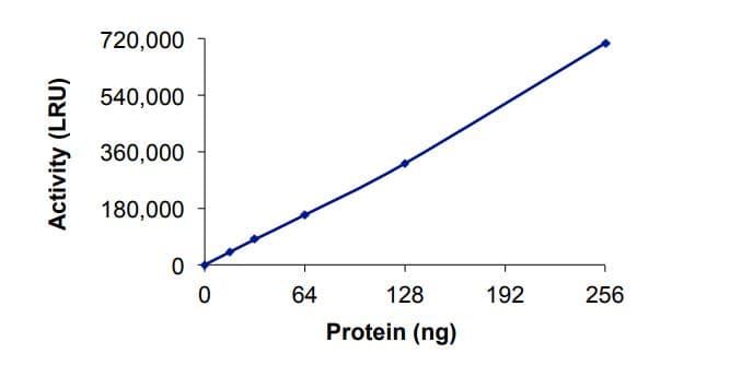 Recombinant human CARM1 protein (Active)(AB268888)