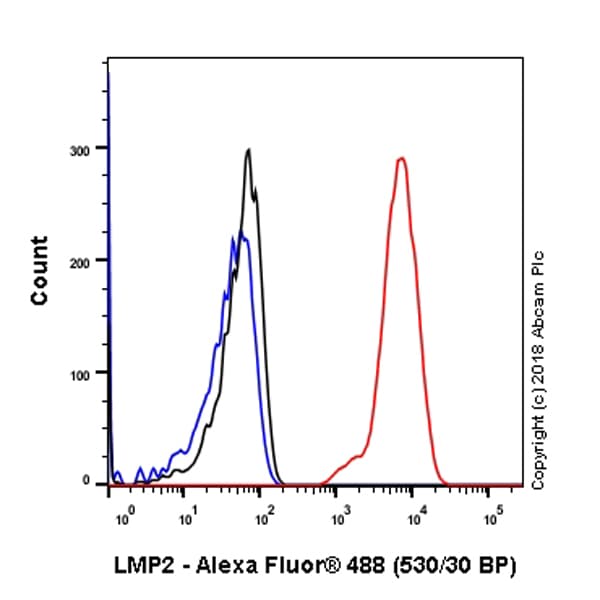 Anti-Proteasome 20S LMP2 antibody [EPR22042](AB242061)