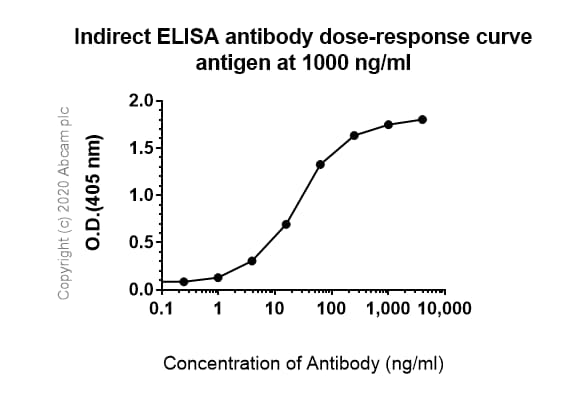 Anti-IFN gamma Receptor beta/AF-1 antibody [EPR22171] - BSA and Azide free(AB240559)