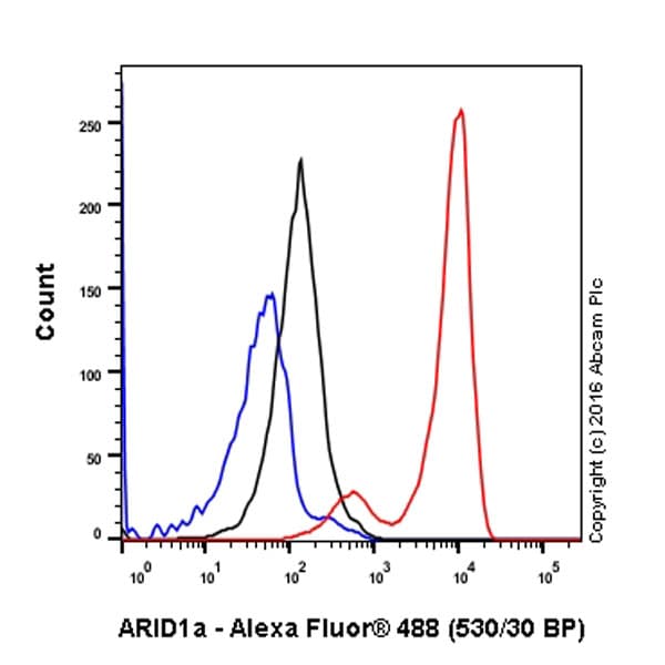 Anti-ARID1A antibody [EPR13501](AB182560)