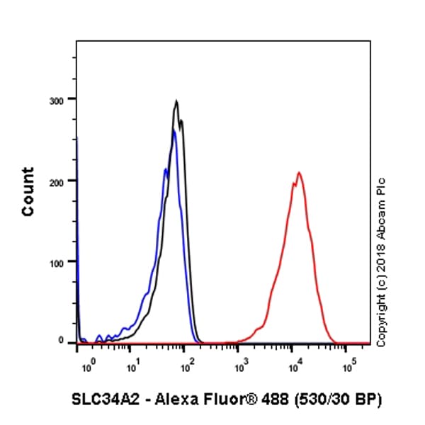 Anti-SLC34A2 antibody [SP322] - N-terminal(AB228474)
