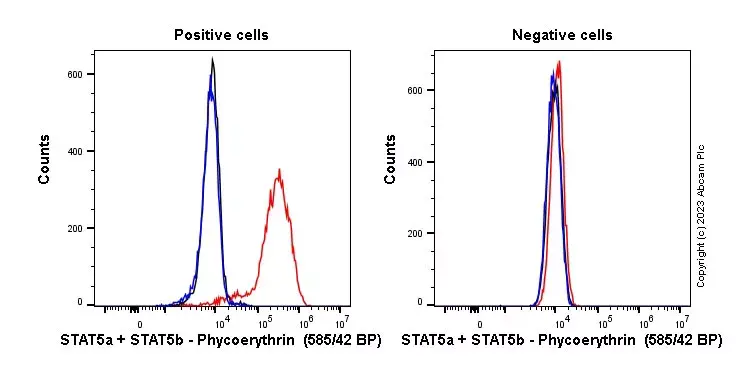 PE Rabbit IgG, monoclonal [EPR25A] - Isotype Control(AB209478)
