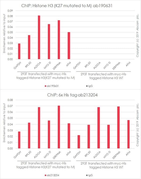 Anti-Histone H3 (mutated K27M) antibody [EPR18340] - ChIP Grade(AB190631)