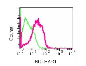 Ndufab1 Antibody Epr6725 Bsa And Azide Free Ab250289  Flow Cytometry Intracellular Img18369