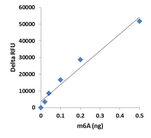 m6A RNA Methylation Assay Kit (Fluorometric)(AB233491)