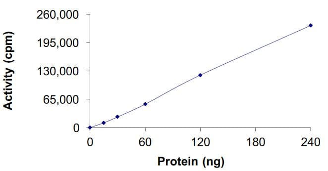 Recombinant human Cyclin E2 + CDK2 protein (Active)(ab268396)