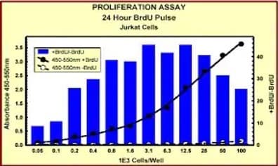 BrdU Cell Proliferation ELISA Kit (colorimetric)(AB126556)