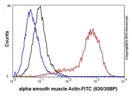 Anti-alpha smooth muscle Actin (acetyl E3) + ACTG2 (acetyl E3) antibody [E184](AB32575)