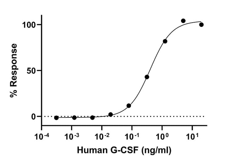 Recombinant Human G-CSF Protein (Active)(AB307484)