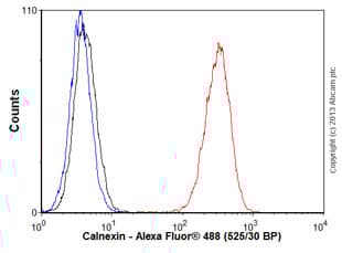 Anti-Calnexin antibody [EPR3633(2)] - ER Membrane Marker(AB133615)