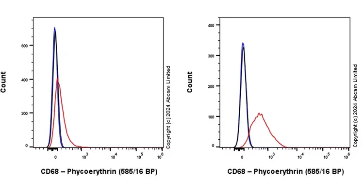 APC Rabbit IgG, monoclonal [EPR25A] - Isotype Control(AB232814)