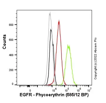 PE Rabbit IgG, monoclonal [EPR25A] - Isotype Control(AB209478)