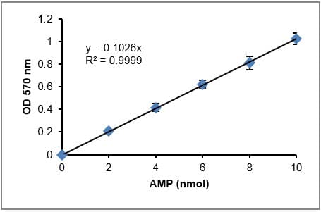AMP Assay Kit (Colorimetric)(AB273275)