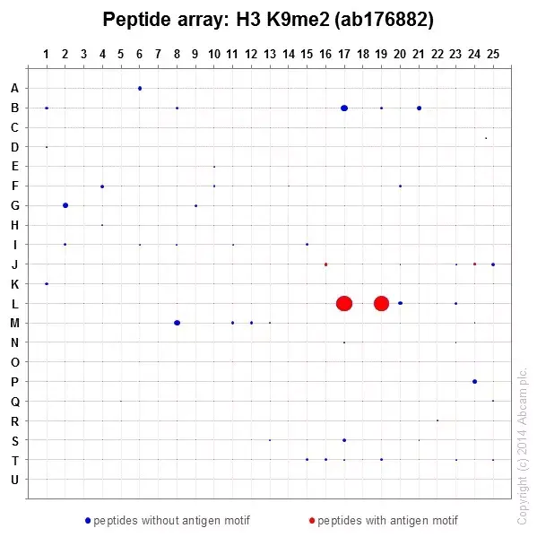 Anti-Histone H3 (di methyl K9) antibody [EP16990] - ChIP Grade(AB176882)