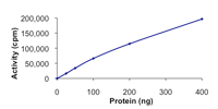 Recombinant human FAK protein(AB105909)