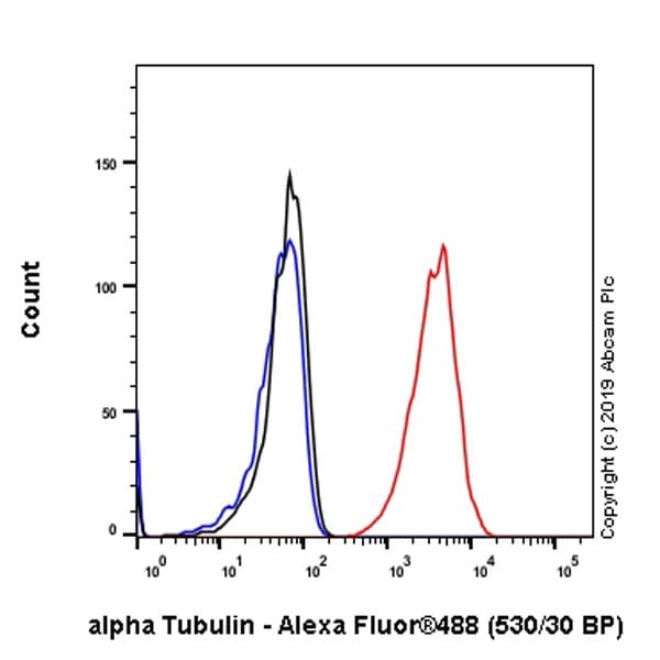 Anti-alpha Tubulin antibody [EP1332Y] - Microtubule Marker(AB52866)
