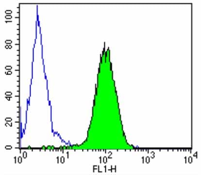 Anti-P4HB antibody [RL90](AB2792)