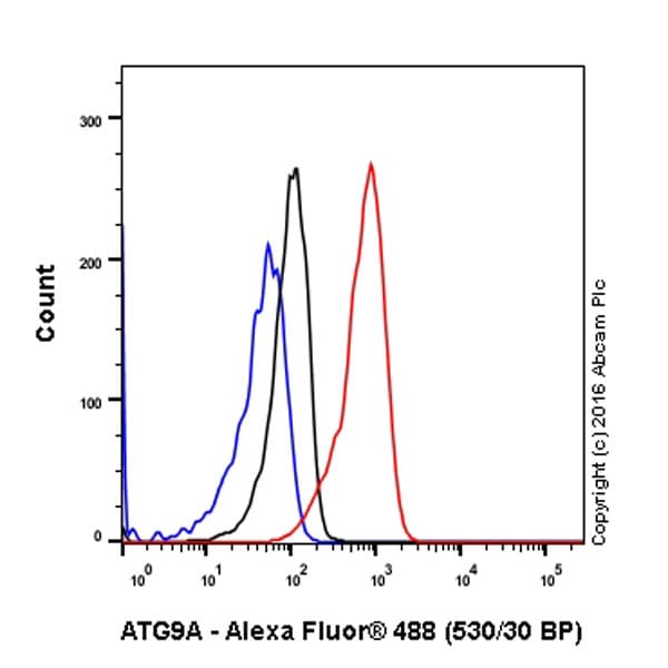 Anti-ATG9A antibody [EPR2450(2)](AB108338)