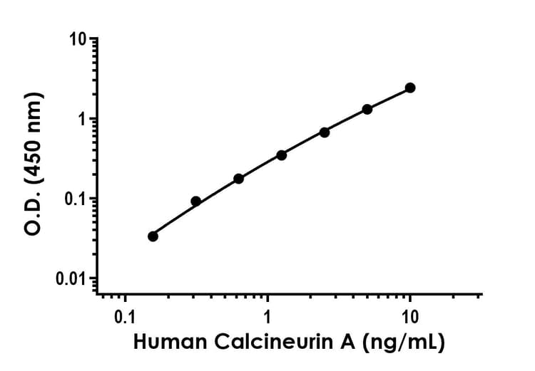 Anti-Calcineurin A antibody [EPR26649-78] - BSA and Azide free (Detector)(AB315410)