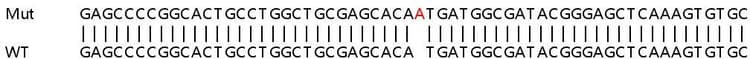 Ab263325  Sanger Sequencing Img410366