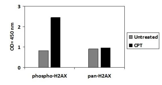 Phospho-gamma H2A.X (S139) and Total gamma H2A.X ELISA Kit(AB279817)