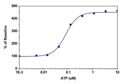 Fluo-4 Assay Kit (Calcium)(AB228555)
