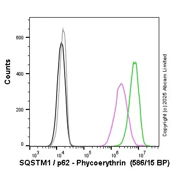 PE Rabbit IgG, monoclonal [EPR25A] - Isotype Control(AB209478)