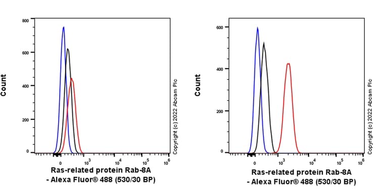 Rab8a Antibody Mjf R22 79 3 Mouse Igg2a Chimeric Bsa And Azide Free Ab307608  Flow Cytometry Intracellular Img406193