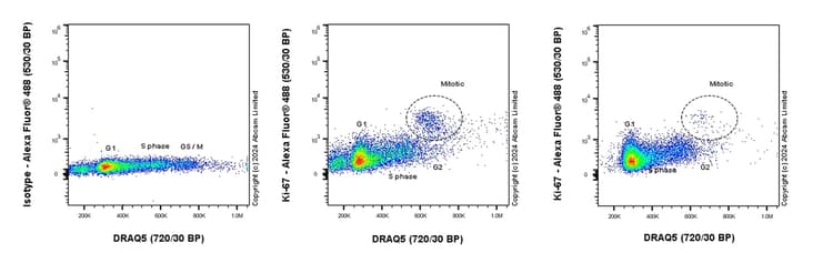 Anti-Ki67 antibody [37C7-12](AB245113)