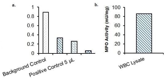 Myeloperoxidase (MPO) Activity Assay Kit (Colorimetric)(AB105136)