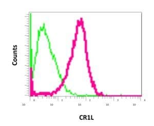 Cr1l Antibody Epr9604b Bsa And Azide Free Ab249495  Flow Cytometry Intracellular Img63054