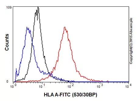 Anti-HLA A antibody [EP1395Y](AB52922)
