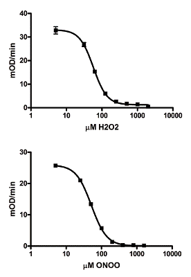 Aconitase Activity Assay Kit(AB109712)