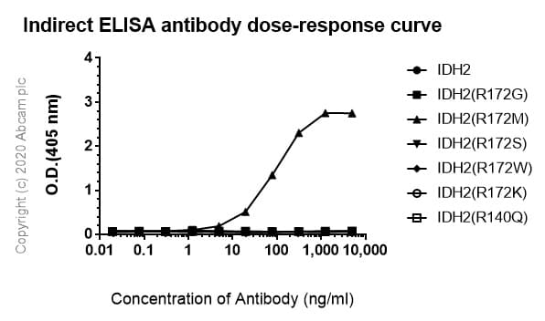 Idh2 Mutated R172m Antibody Mmab 1 Bsa And Azide Free Ab264061  Indirect Elisa Img69867