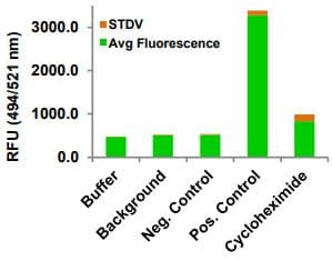 Global Protein Synthesis Assay Kit(AB273286)