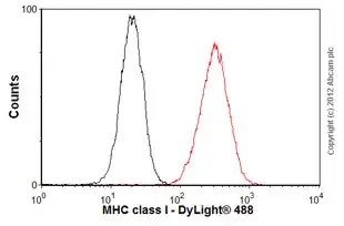 Anti-HLA A antibody [EP1395Y](AB52922)