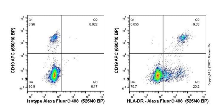 Anti-HLA-DR antibody [TAL 1B5](AB20181)