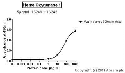 Anti-Heme Oxygenase 1 antibody [HO-1-1](AB13248)