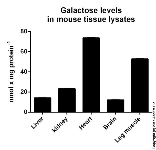 Galactose Assay Kit(ab83382)
