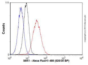 Anti-S6K1 antibody [E343] - BSA and Azide free(AB203558)