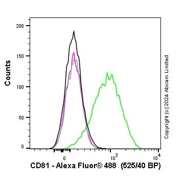Anti-CD81 antibody [M38](AB79559)