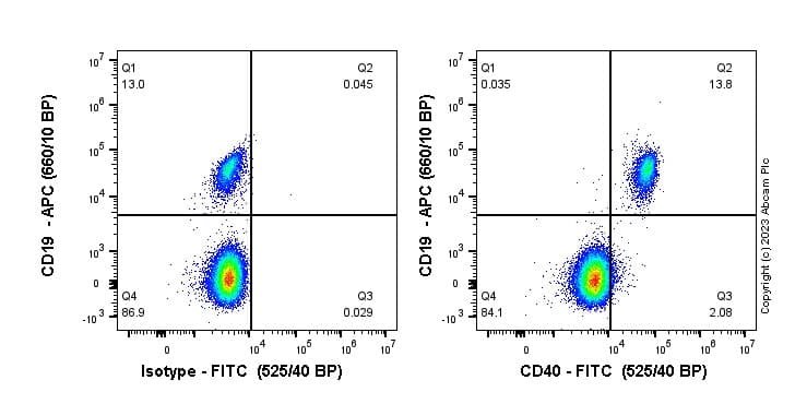 FITC Rabbit IgG, monoclonal [EPR25A] - Isotype Control(AB223339)