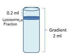 Lysosome Isolation Kit(AB234047)