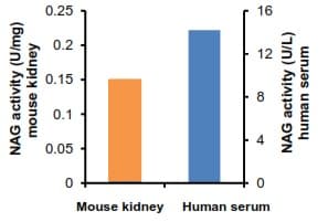 N-Acetylglucosaminidase (beta-NAG) Activity Assay Kit (Colorimetric)(AB204705)