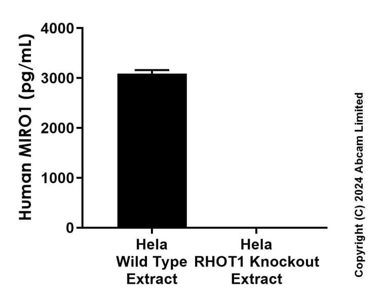 Anti-MIRO1 antibody [MJF-D29136-145] - BSA and Azide free (Detector)(AB320019)