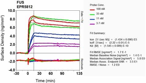 Tls Fus Antibody Epr5812 Ab124923  Oi Rd Scanning Img78826