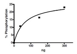 Recombinant human MEKK2 protein(AB135009)