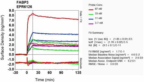 H Fabp Antibody Epr6126 Bsa And Azide Free Ab248565  Oi Rd Scanning Img152120