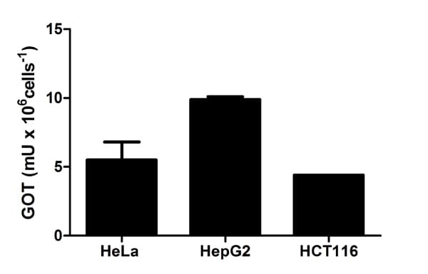 Aspartate Aminotransferase Activity Assay Kit(AB105135)