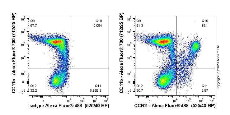 Anti-CCR2 antibody [EPR20844-15](AB273050)